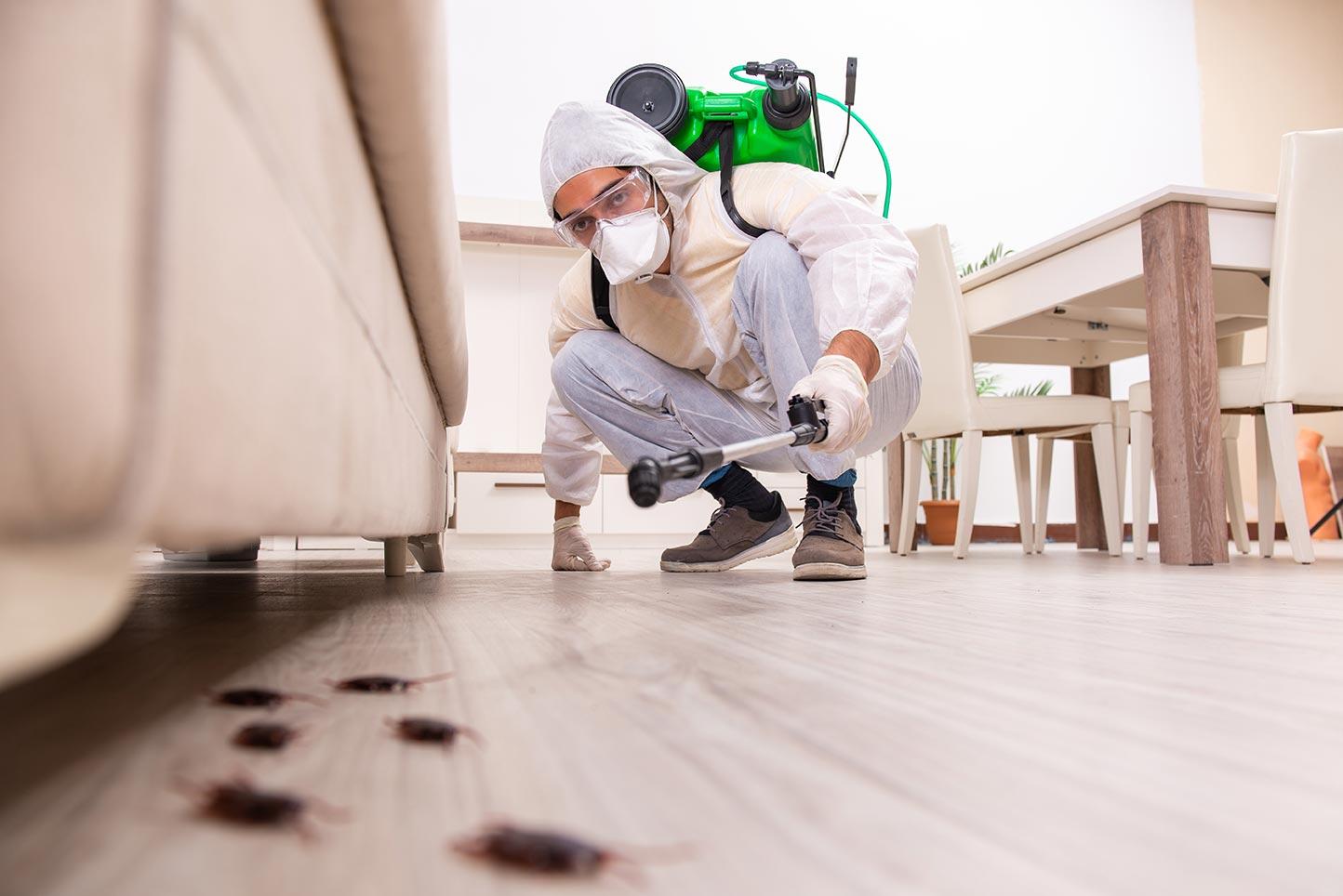 We are a local pest control company that can help with termite control, rodent control, and more