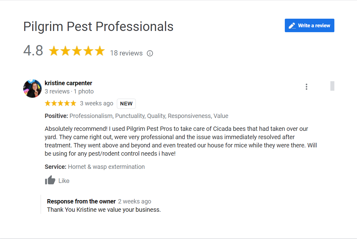 Pilgrim Pest Professionals has many 5-star reviews for pest control services.