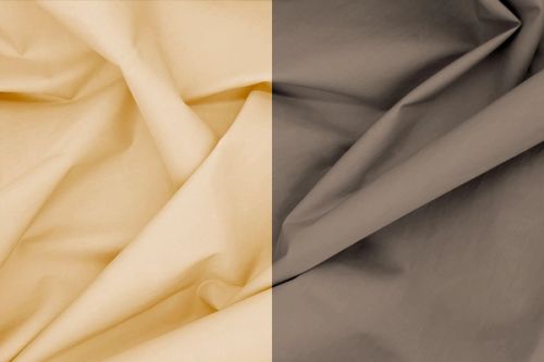 Image ofDEVA FCF M10315-M10124 variant