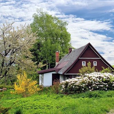 Preparing your home for sale? Don’t forget the garden!