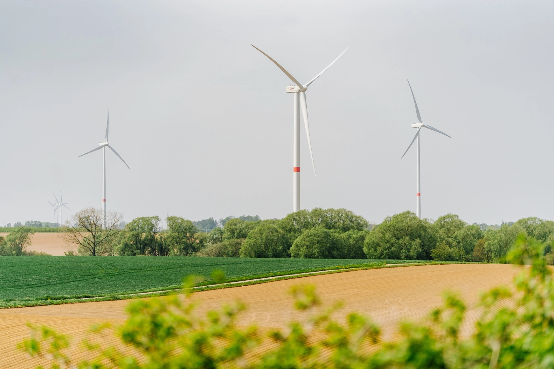 Trois éoliennes dans un champ