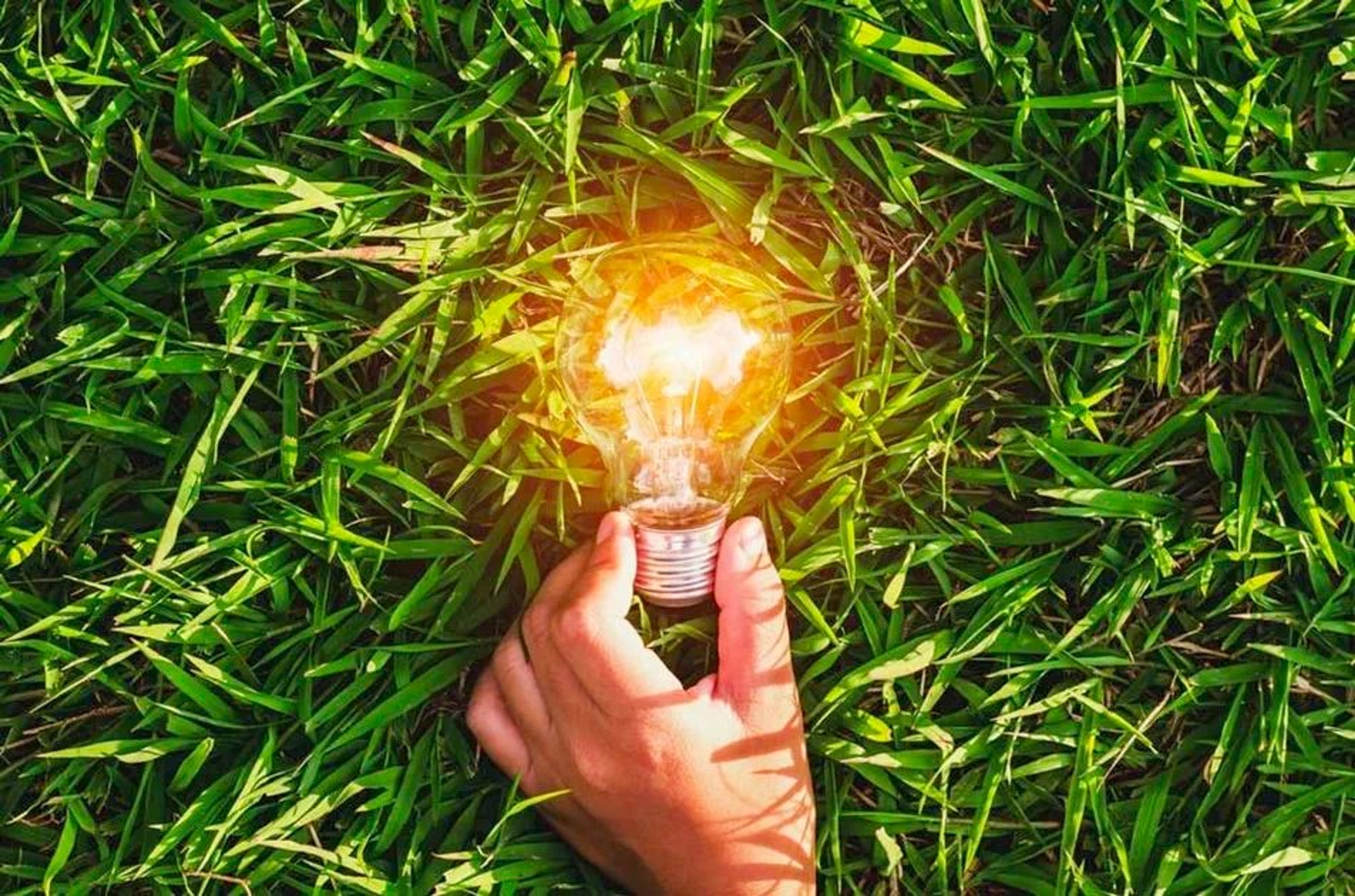 Close-up op gras waarin een hand een brandende lamp vasthoudt.