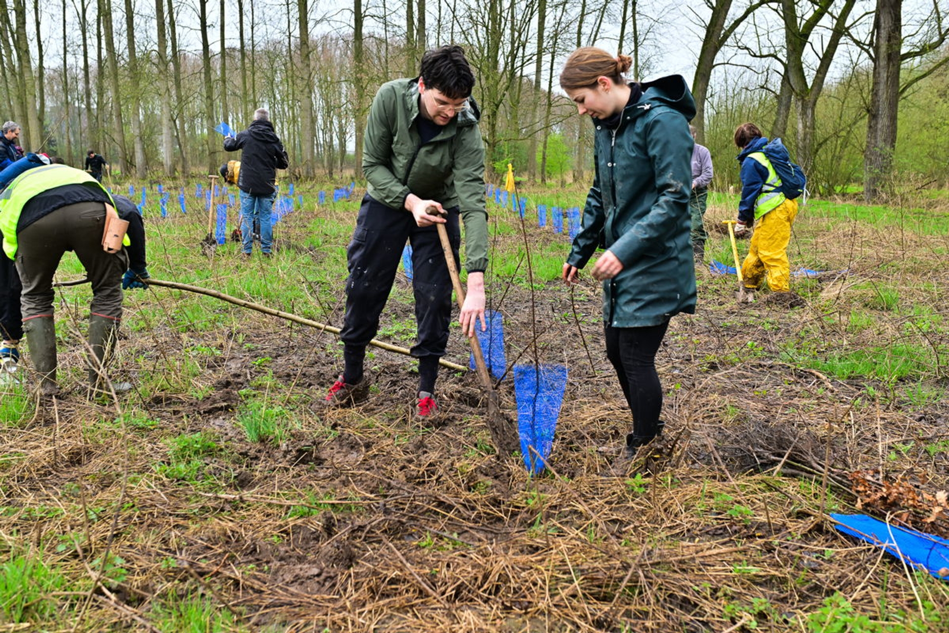 24.825 bomen