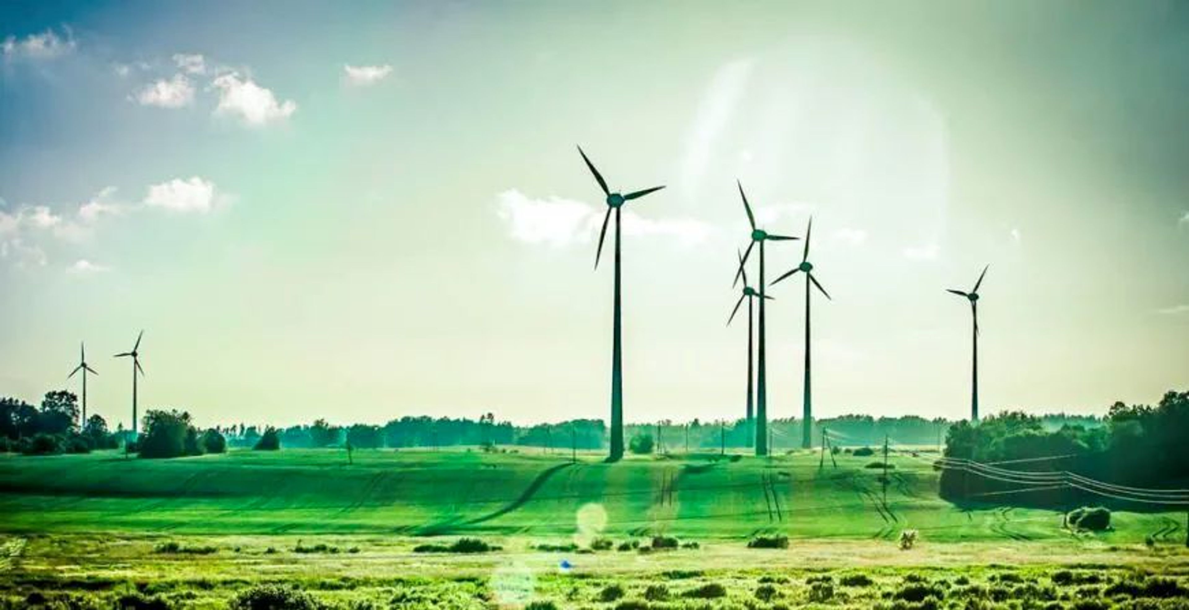 7 windturbines in een groen veld