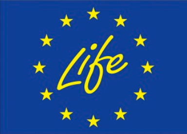 Logo Life