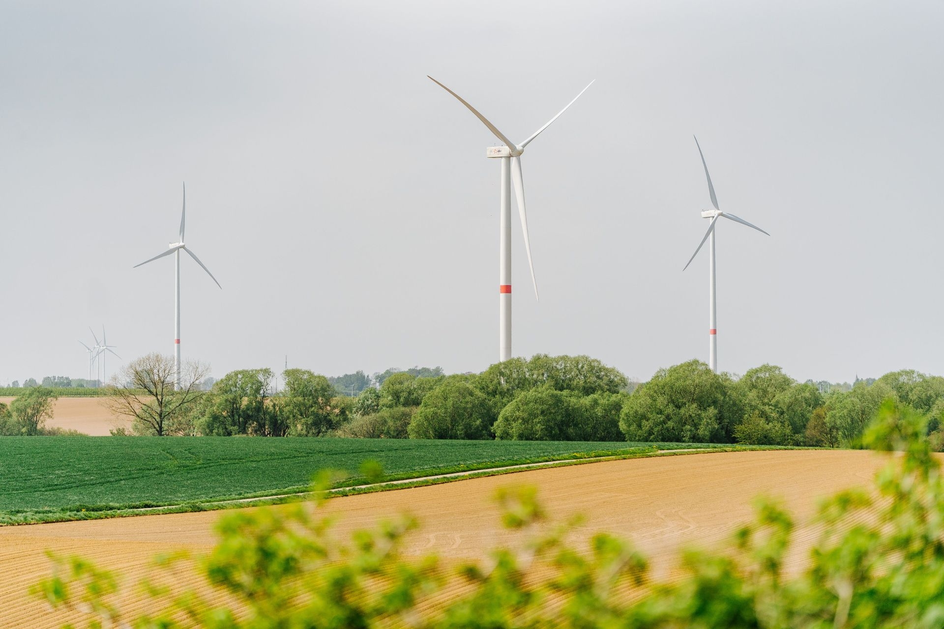 Trois éoliennes dans un champ