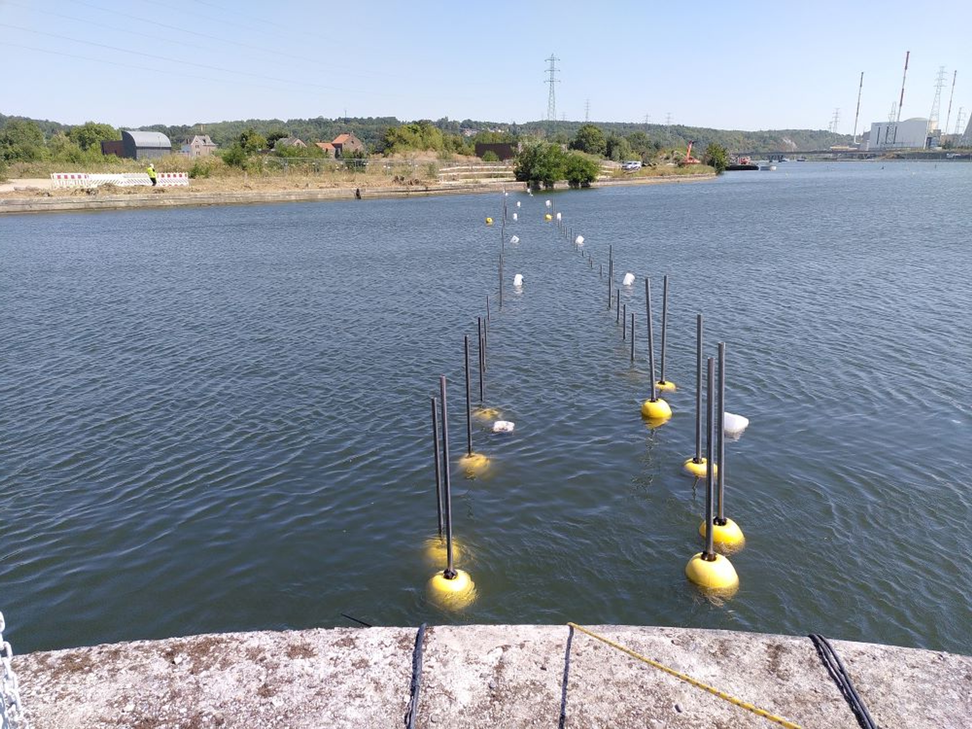 Preserving fish populations and protecting the environment