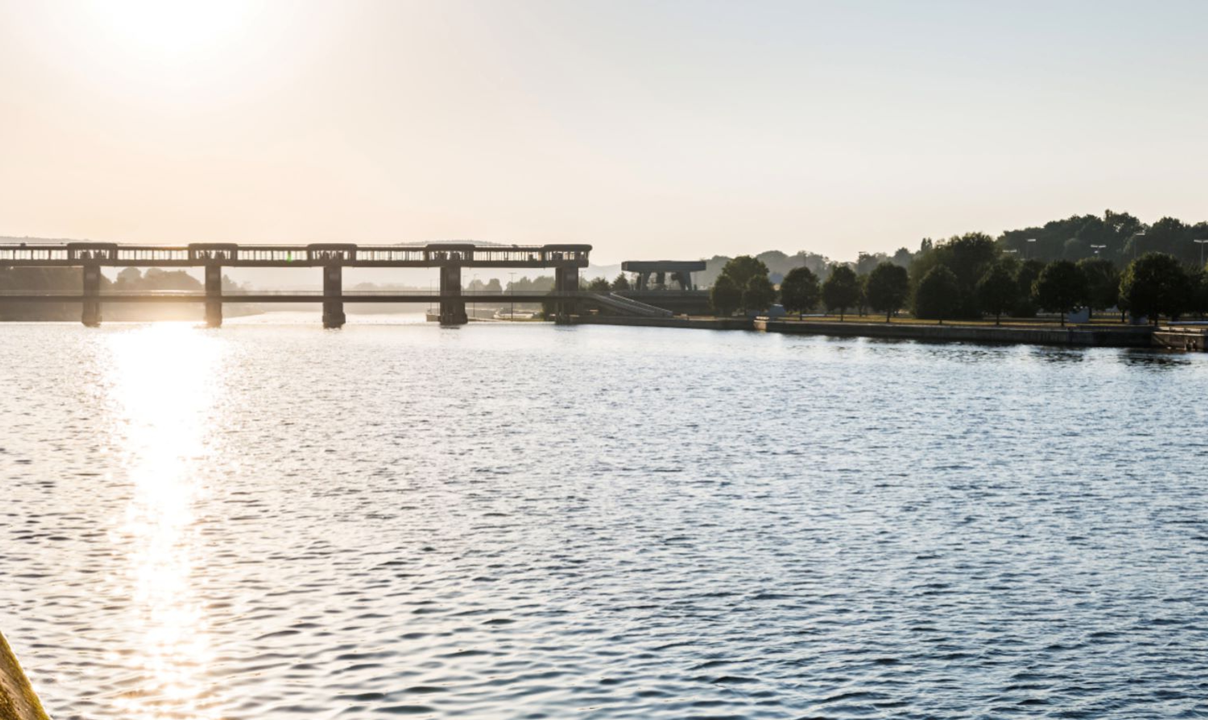 Preserving fish populations and protecting the environment