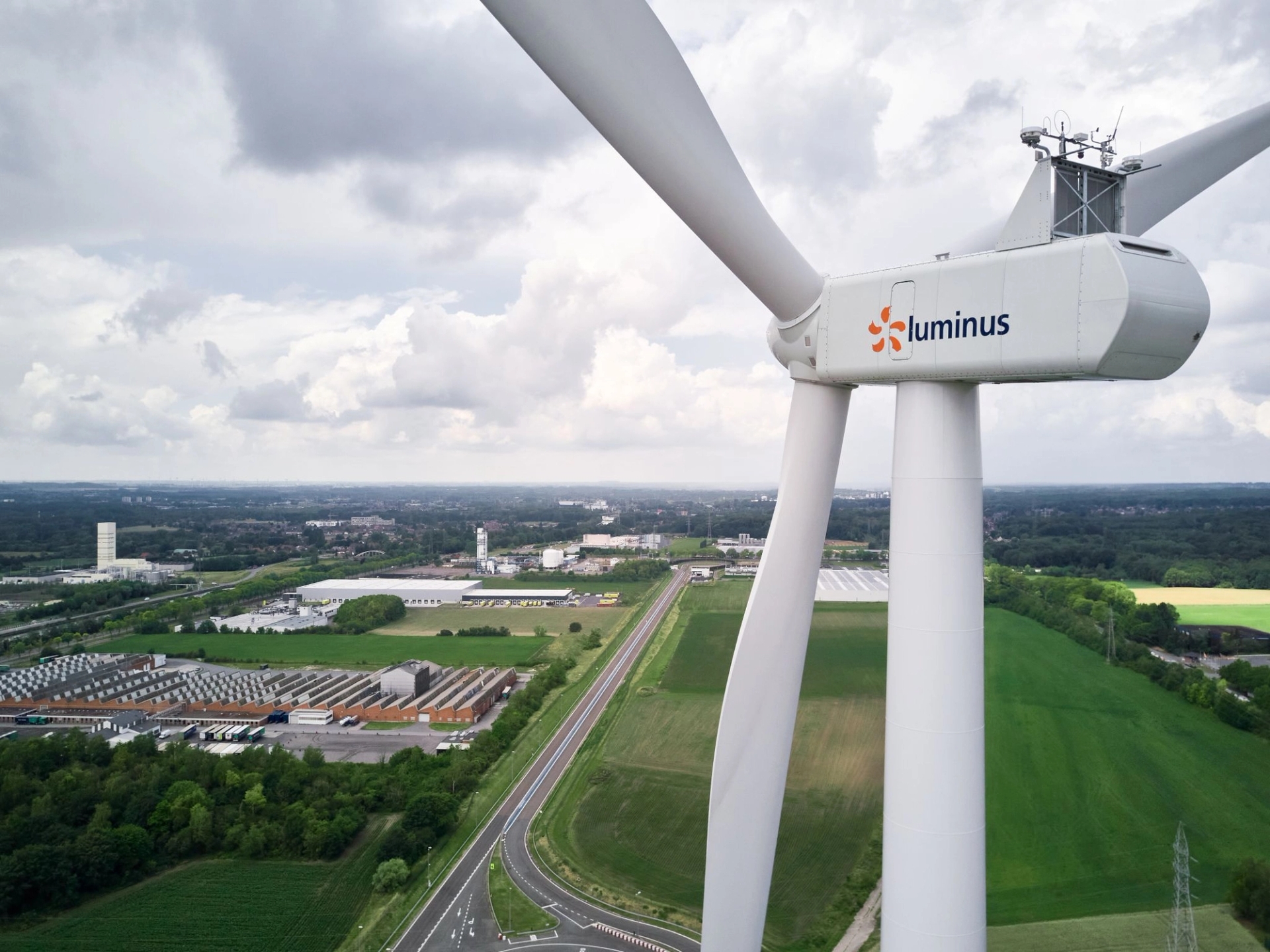 kamille en grassen voor een windturbine