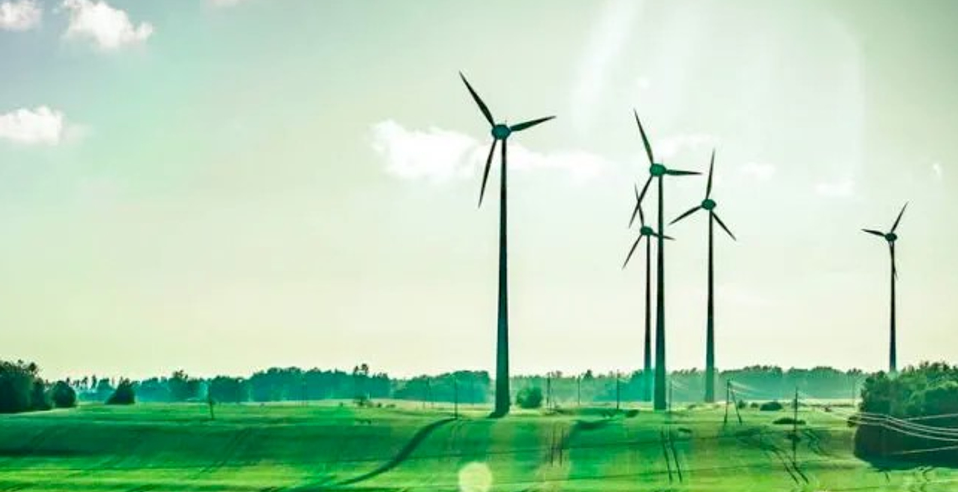 Windcoöperatie Wind Together