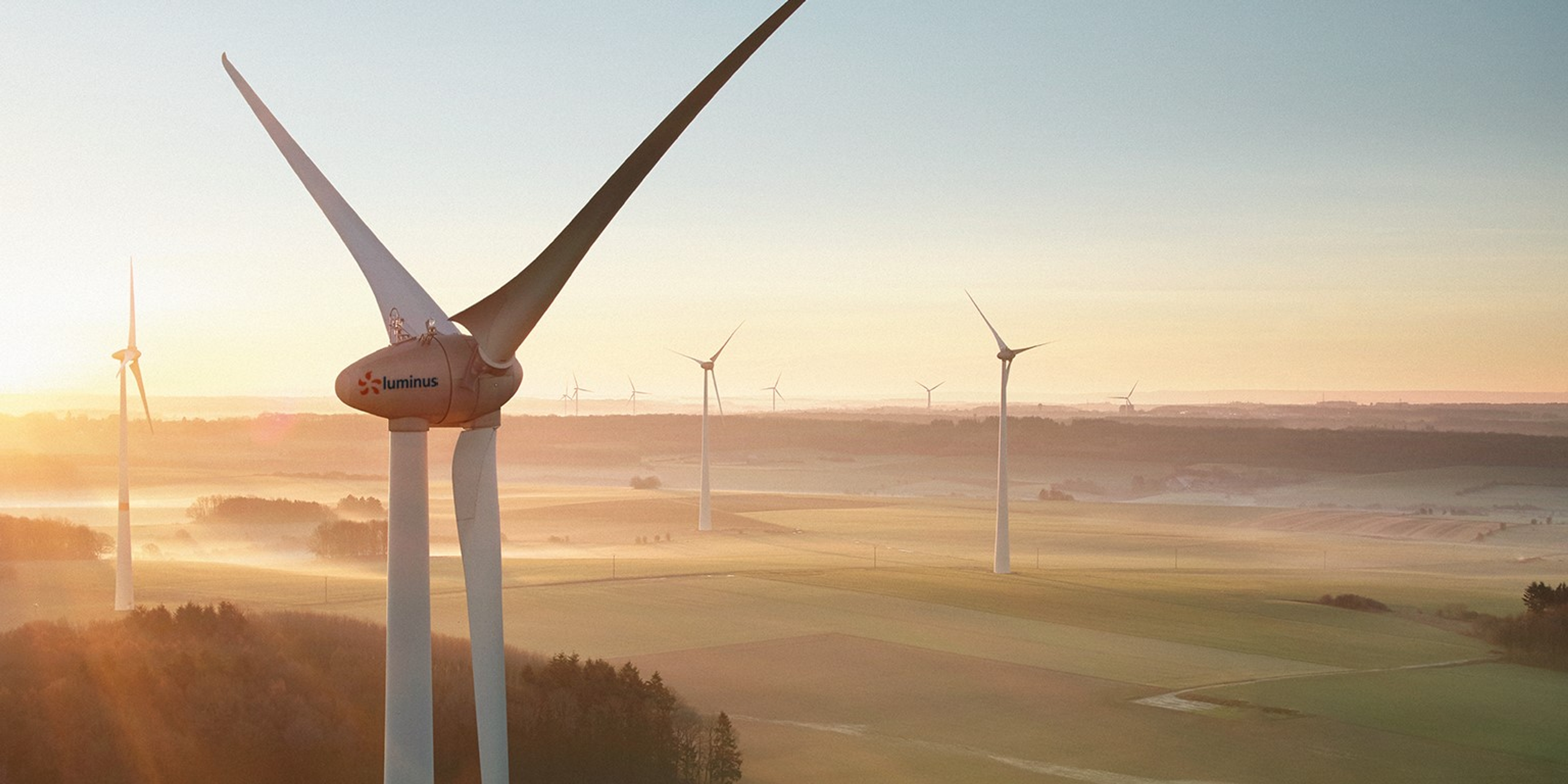 10-tal windturbines temidden van de velden in mistig ochtendlicht.