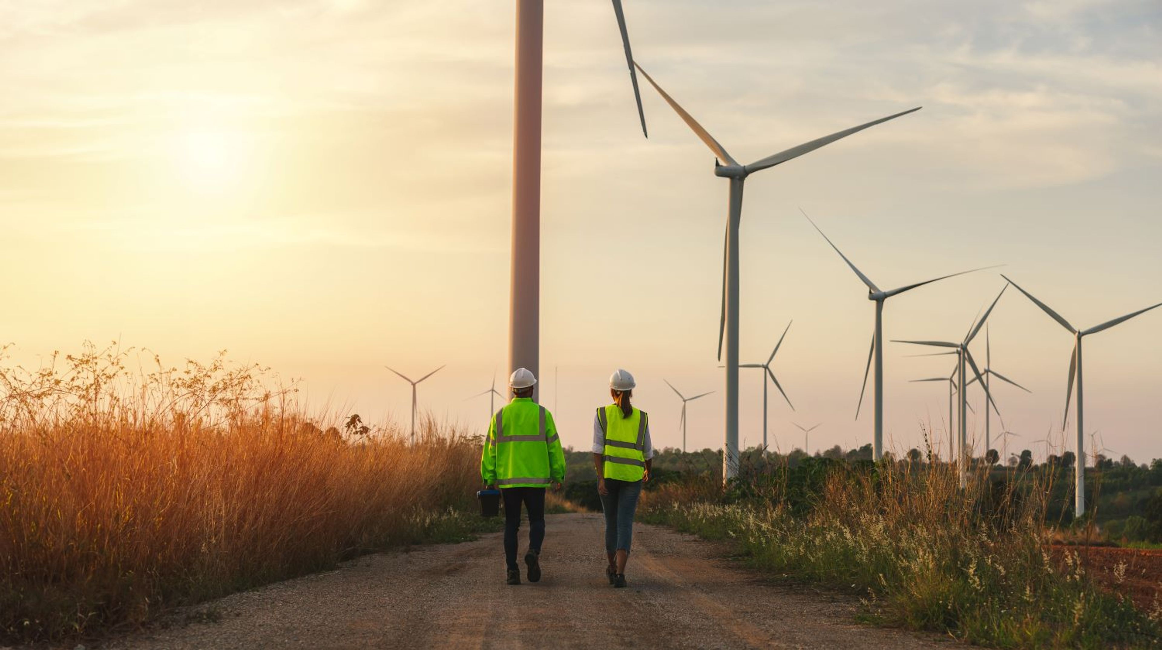 Reeks windturbines in veld bij sunset, man en vrouw met gele hesjes wandelen weg.