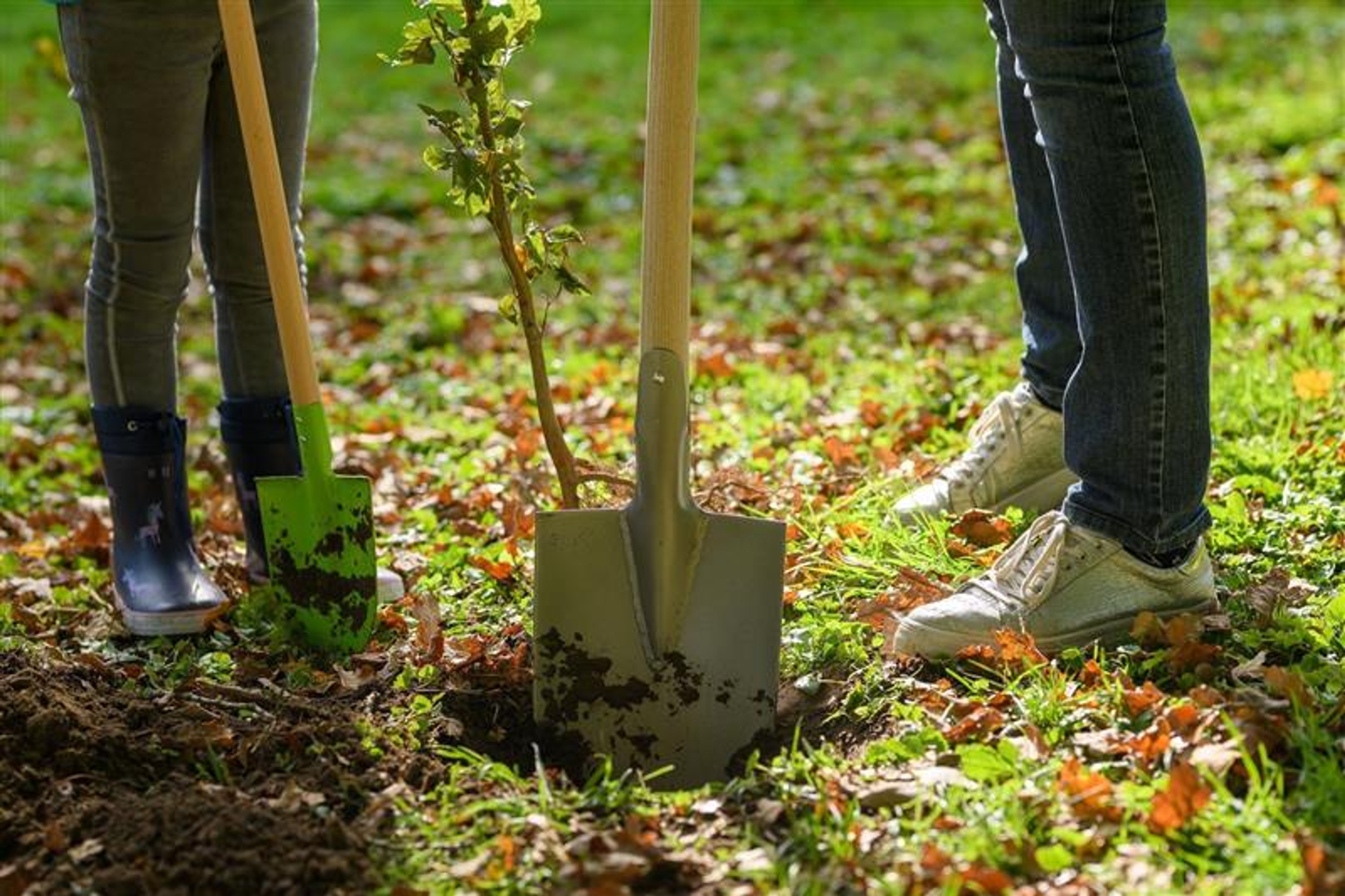 dame met schop en meisje met fluo hesje planten samen een boom