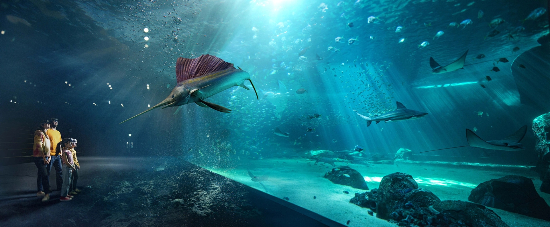 12% korting op toegangstickets bij Nausicaá