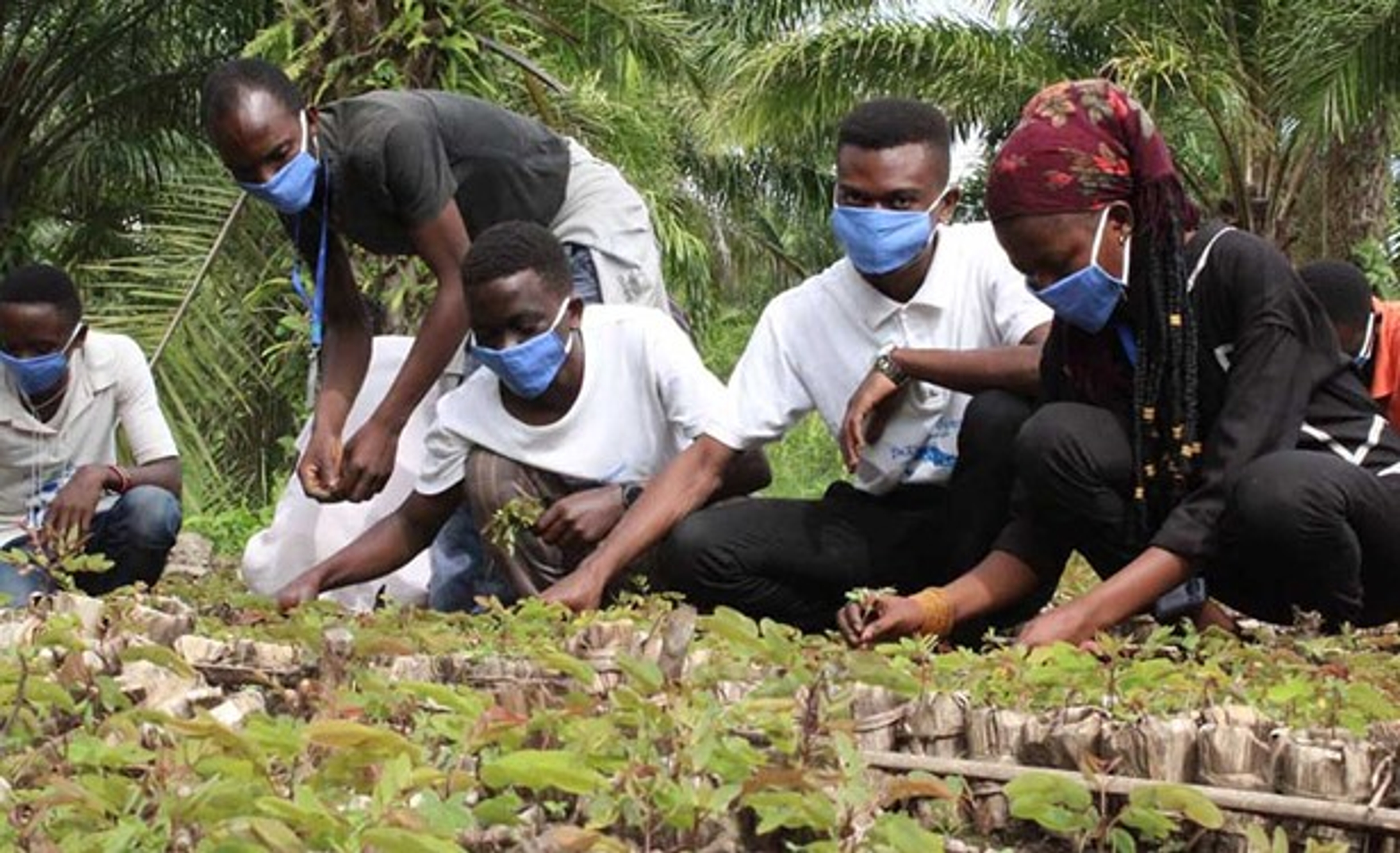 Ook boomplantactie in Burundi