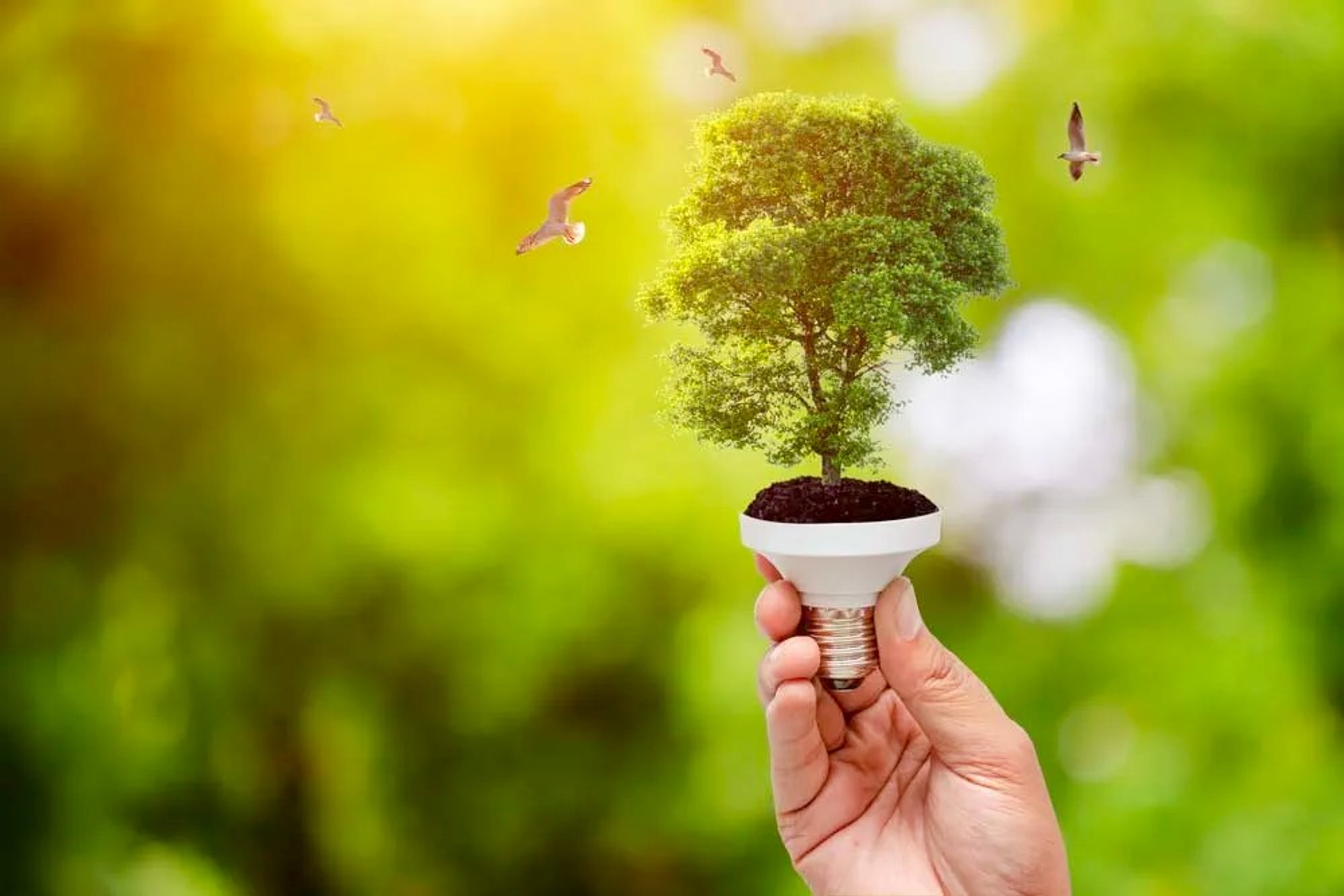 Boom groeit uit een lamp, vogels vliegen er omheen.