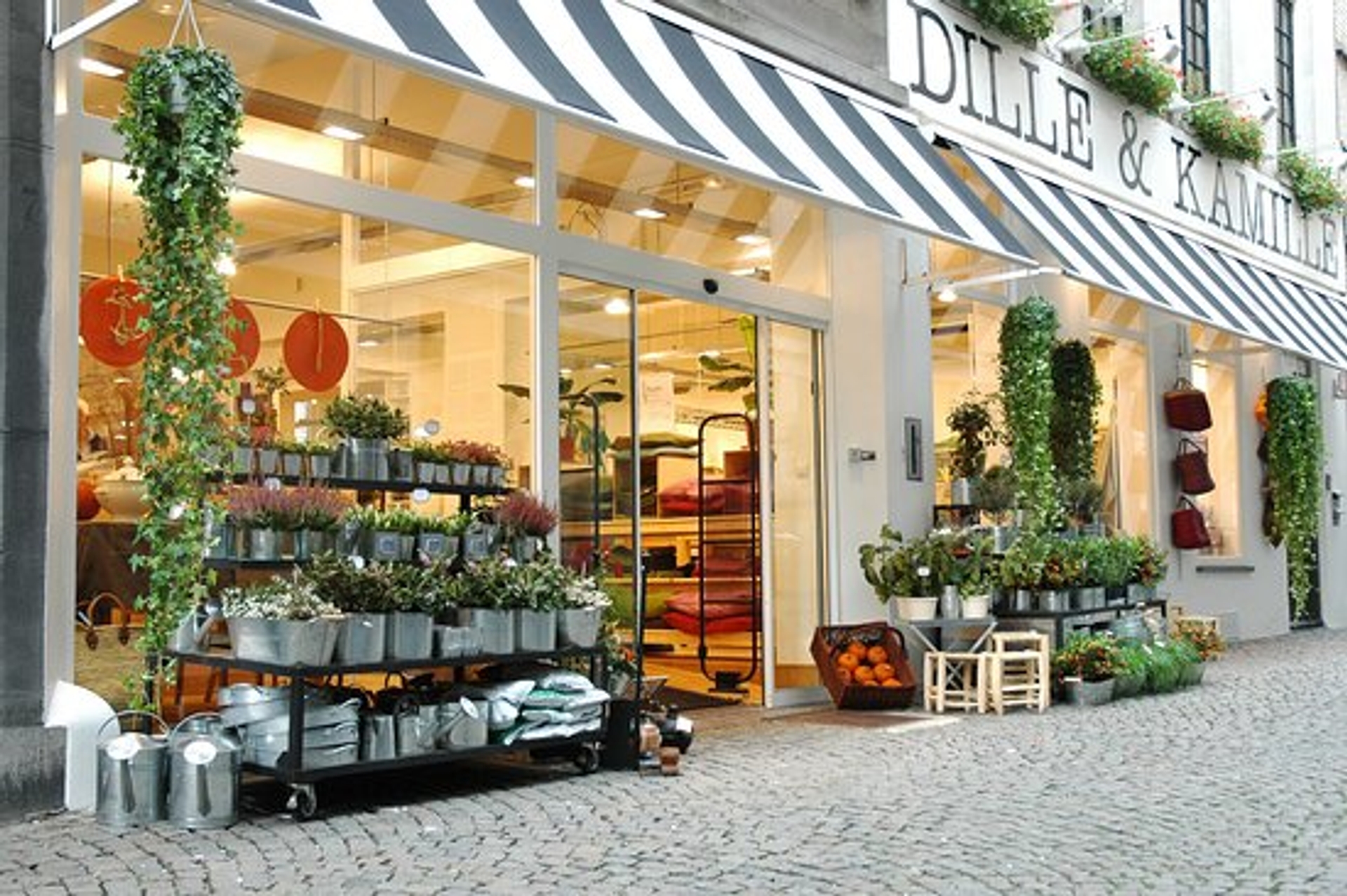 5% korting op je cadeaukaart bij Dille & Kamille