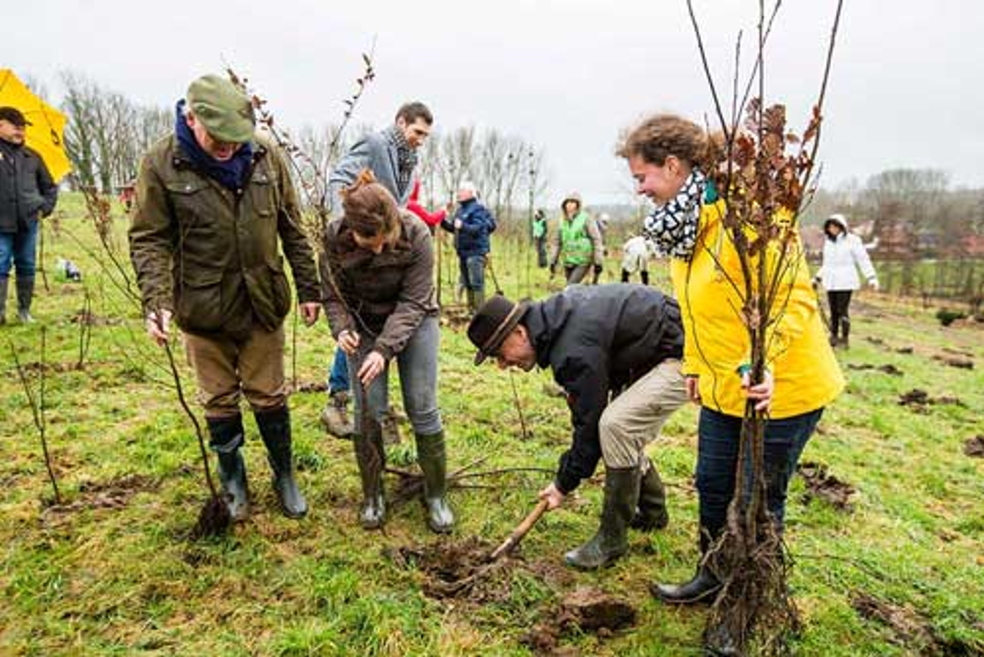 8.850 bomen