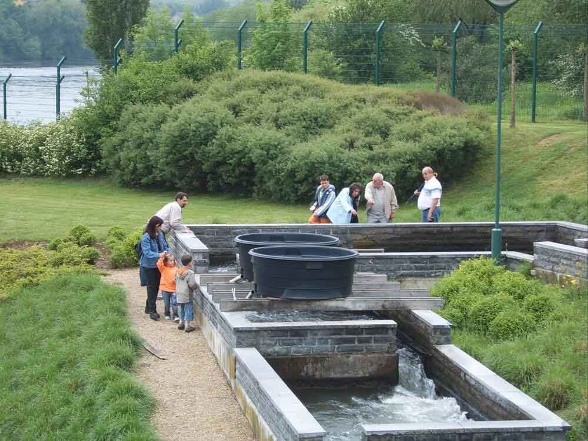 Fish ladders protecting salmon