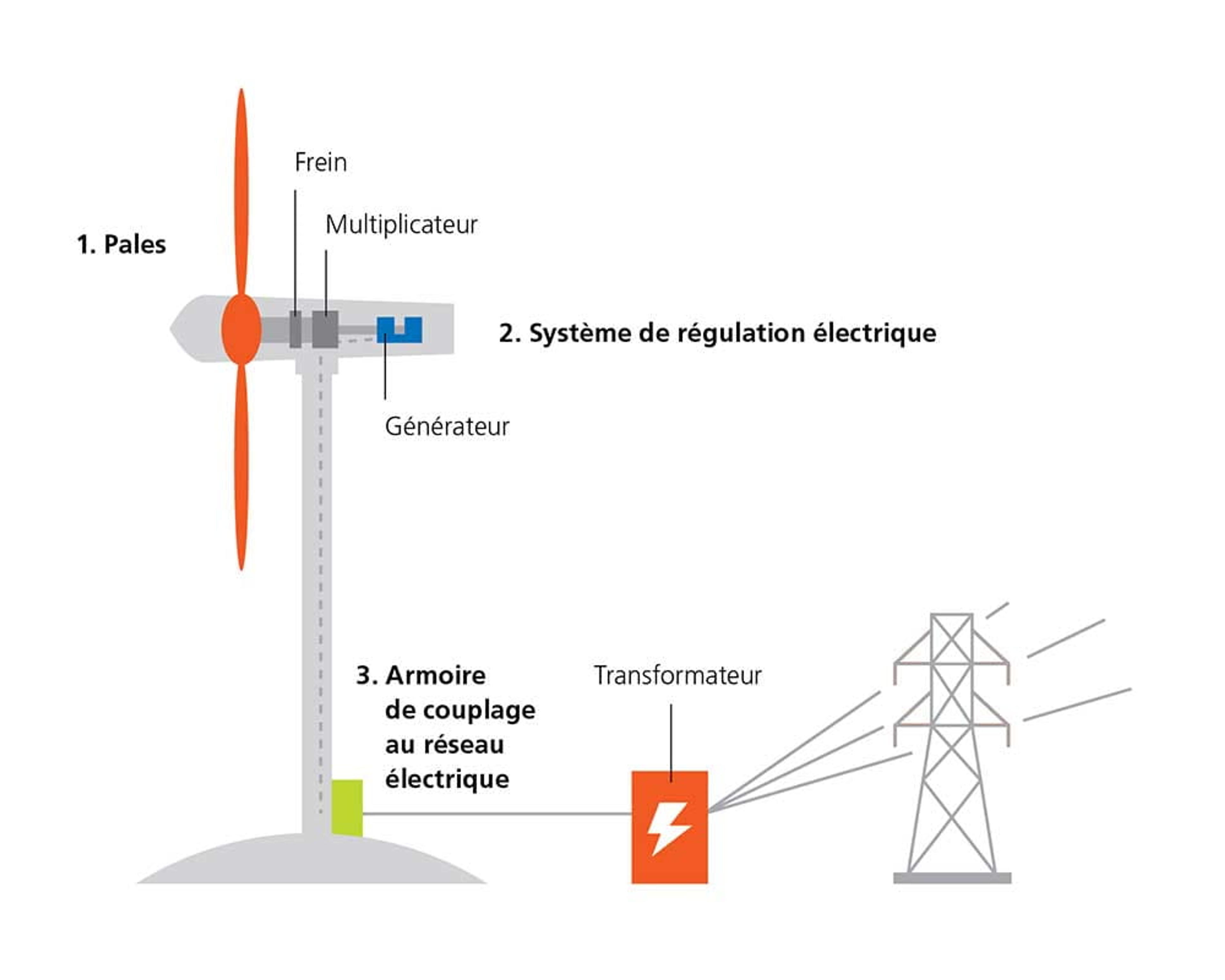 Plan d'une éolienne avec les pales, le frein, le multiplicateur, le générateur, le système de régulation électrique, l'armoire de couplage au réseau électrique et le transformateur