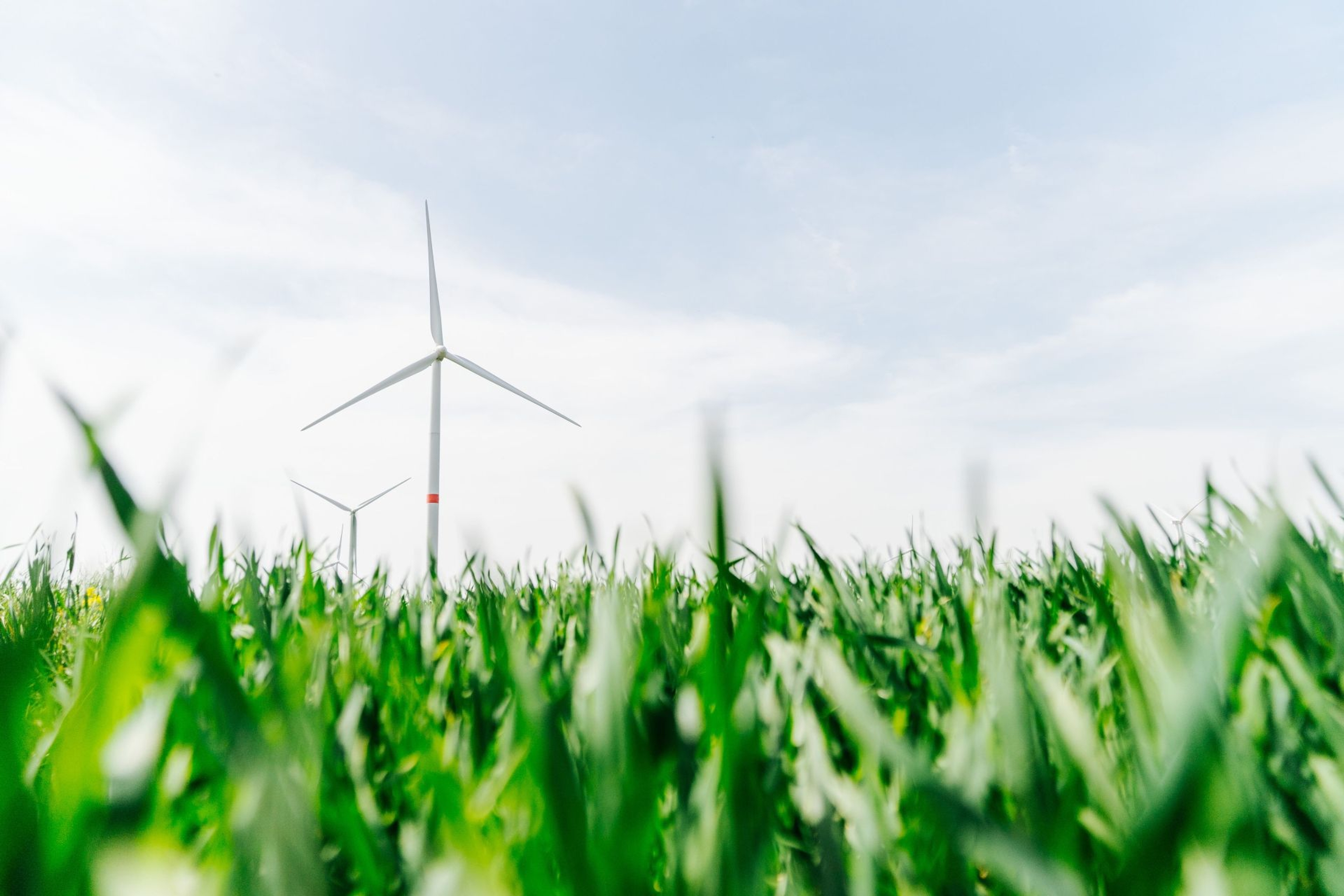 Projet éolien