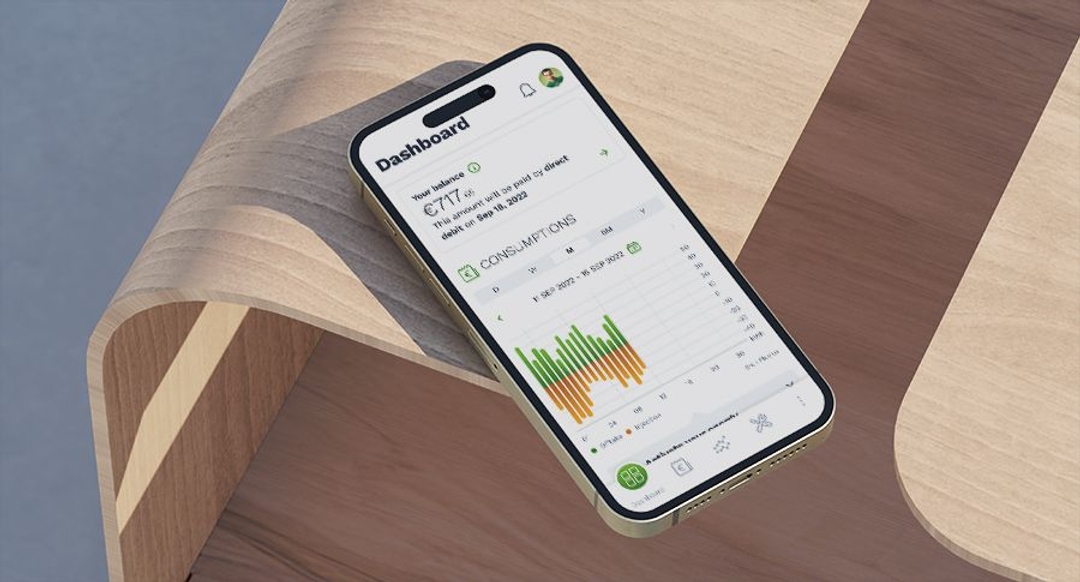 MY LUMINUS JE KLANTENZONE ONLINE EN IN DE APP visual data 8