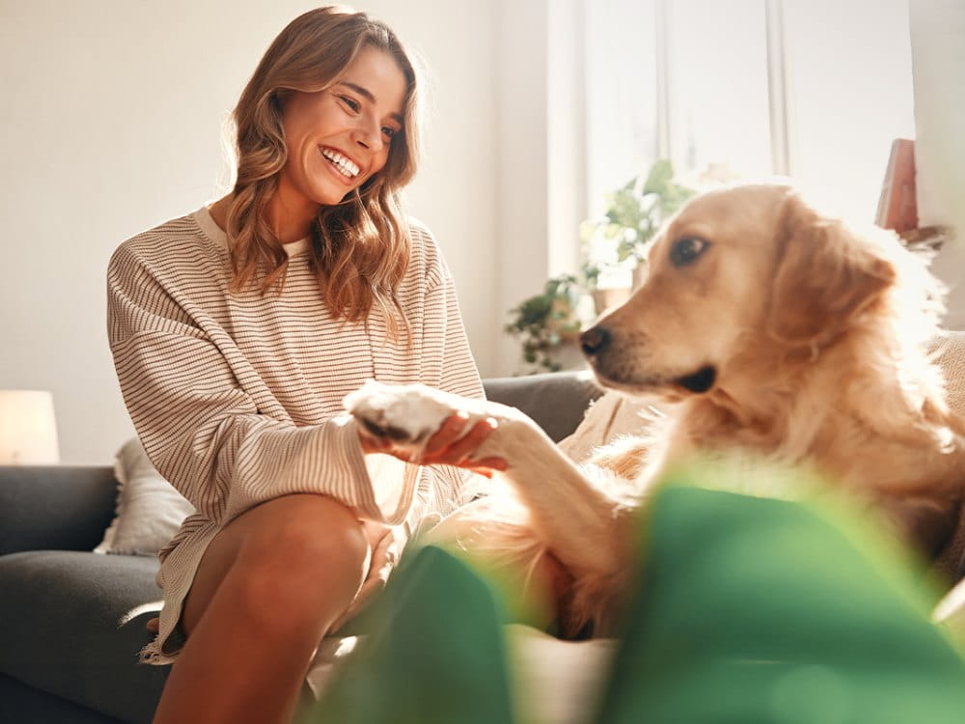Jonge vrouw lachend in woonkamer met grote beige hond die een pootje geeft