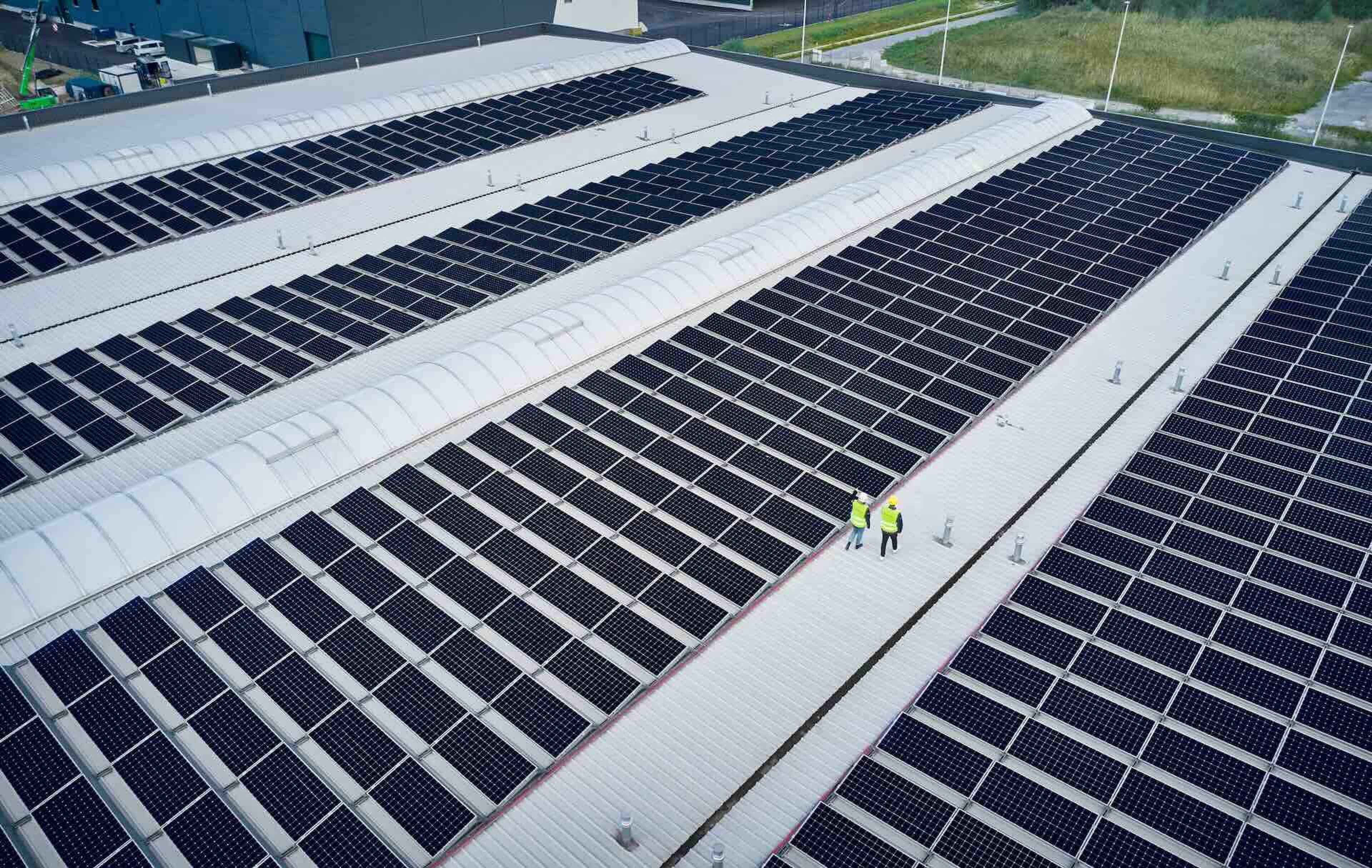 Un champ de blé au coucher du soleil, traversé par plusieurs éoliennes en fonctionnement, illustrant la production d'énergie renouvelable