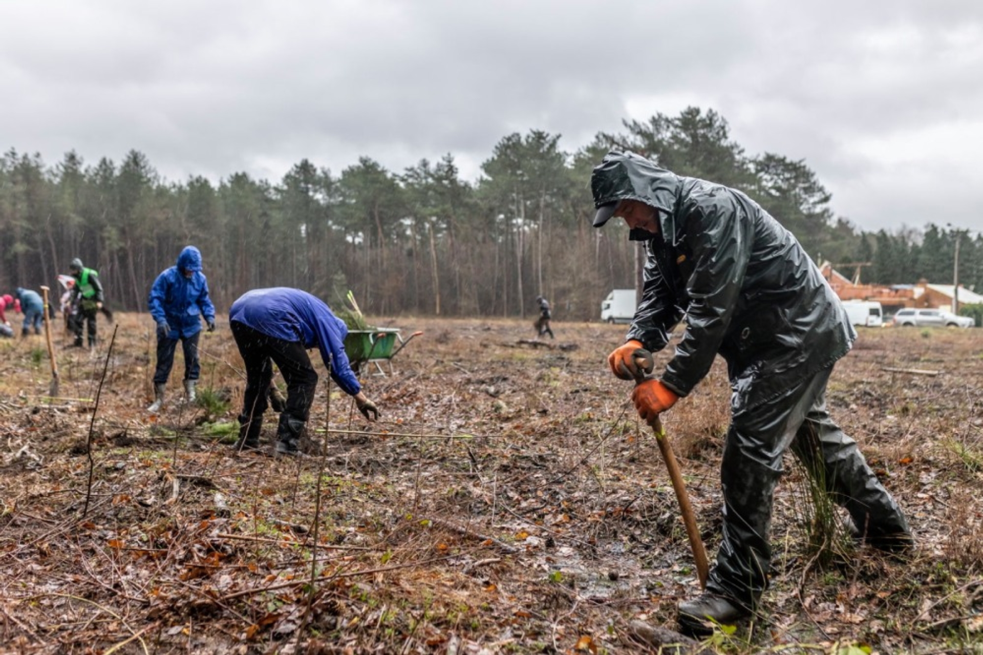 5.725 bomen