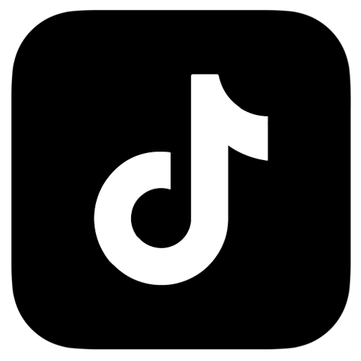 TikTok Icon