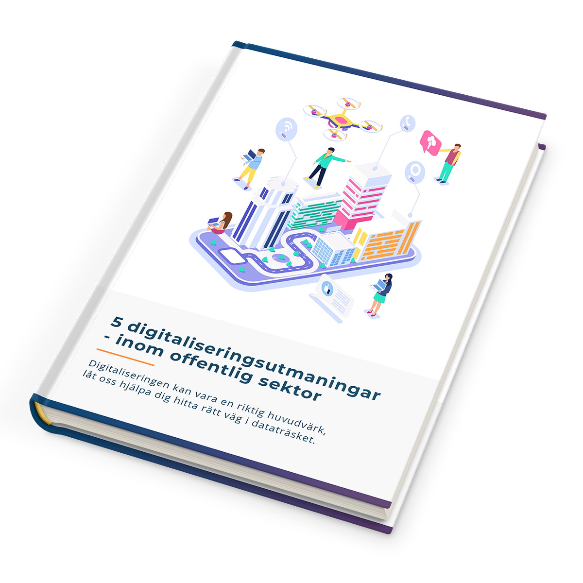 5 digitaliseringsutmaningar inom offentlig sektor