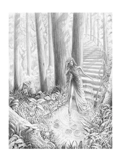 Forest Retreat