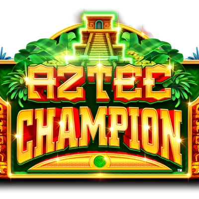 巨大　レア　チランジア　Aztec Flame b398f2c741b5b082322b14e71283bd