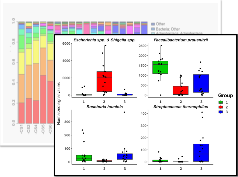 Microbiome composition analysis - from sample to results in 2 days