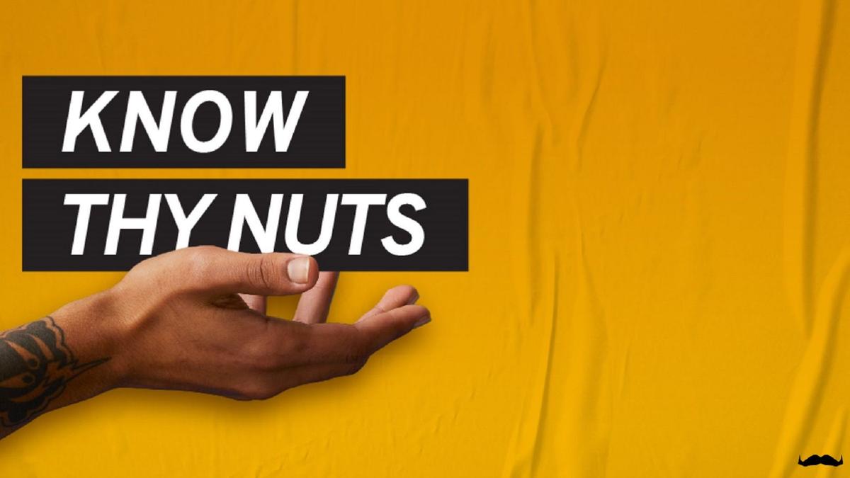 Movember Know Thy Nuts