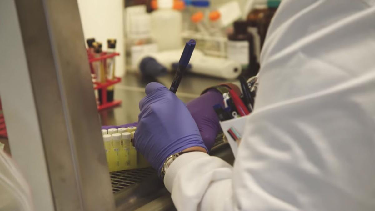 A scientist marks up a lab sample