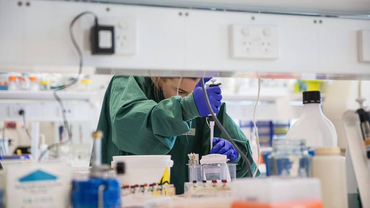Masked researcher in laboratory testing samples.