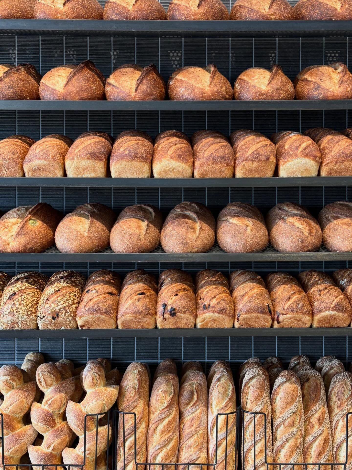 Benchmark Breads