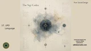 The Sigi Codex | Experimental Sound Design & Reaktor Textures