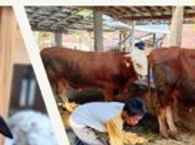 Berguna bagi Masyarakat