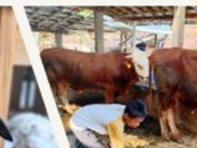 Berguna bagi Masyarakat