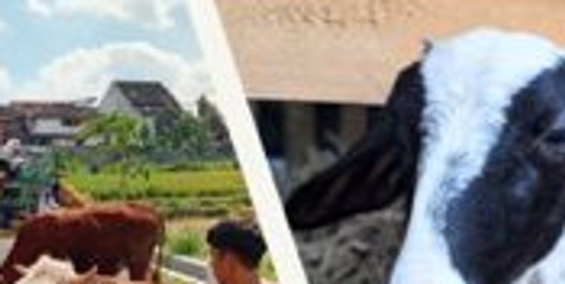 Meramban: Sekolahnya Alam