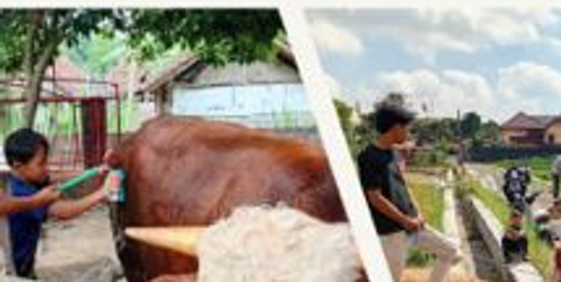 Mengenal Fitrah Anak Usia Dini