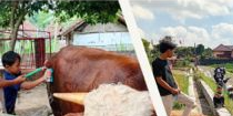 Belajar dari Hujan