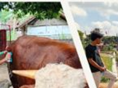 Berbakti pada Keluarga