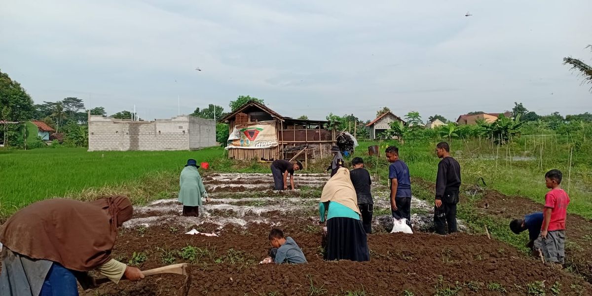 Budidaya Alam di Sekitar Sayogya