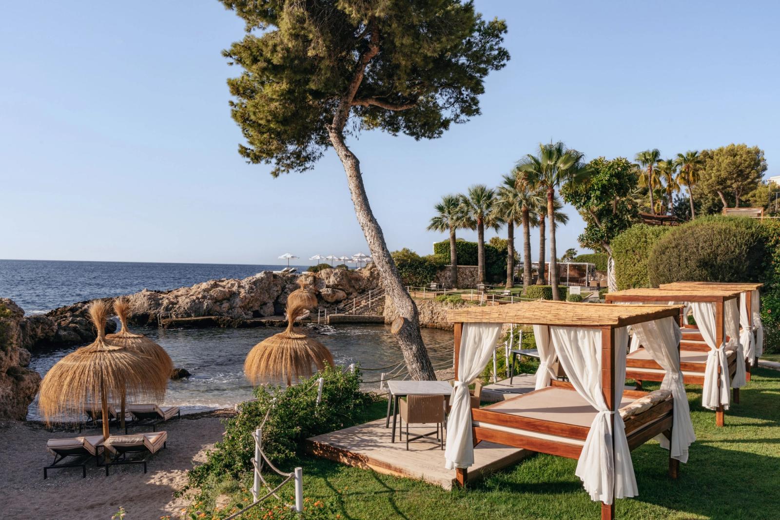 Cabanas under the pines, evening