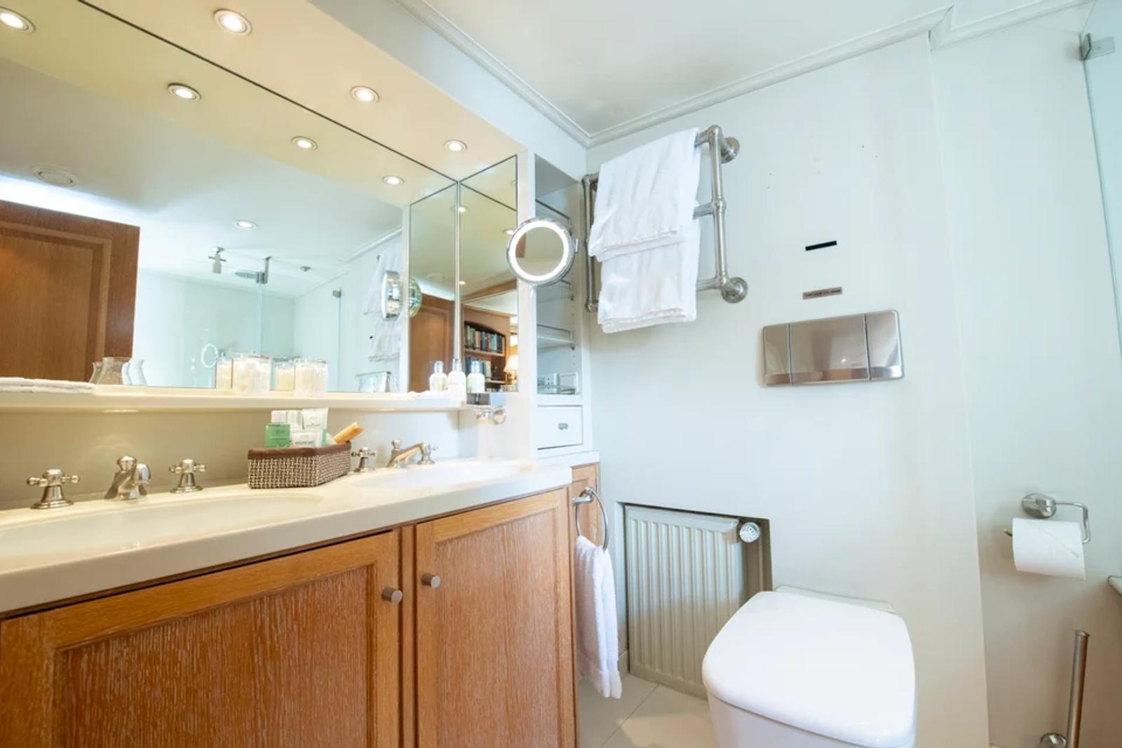 ARCTIC — guest bathroom twin basin