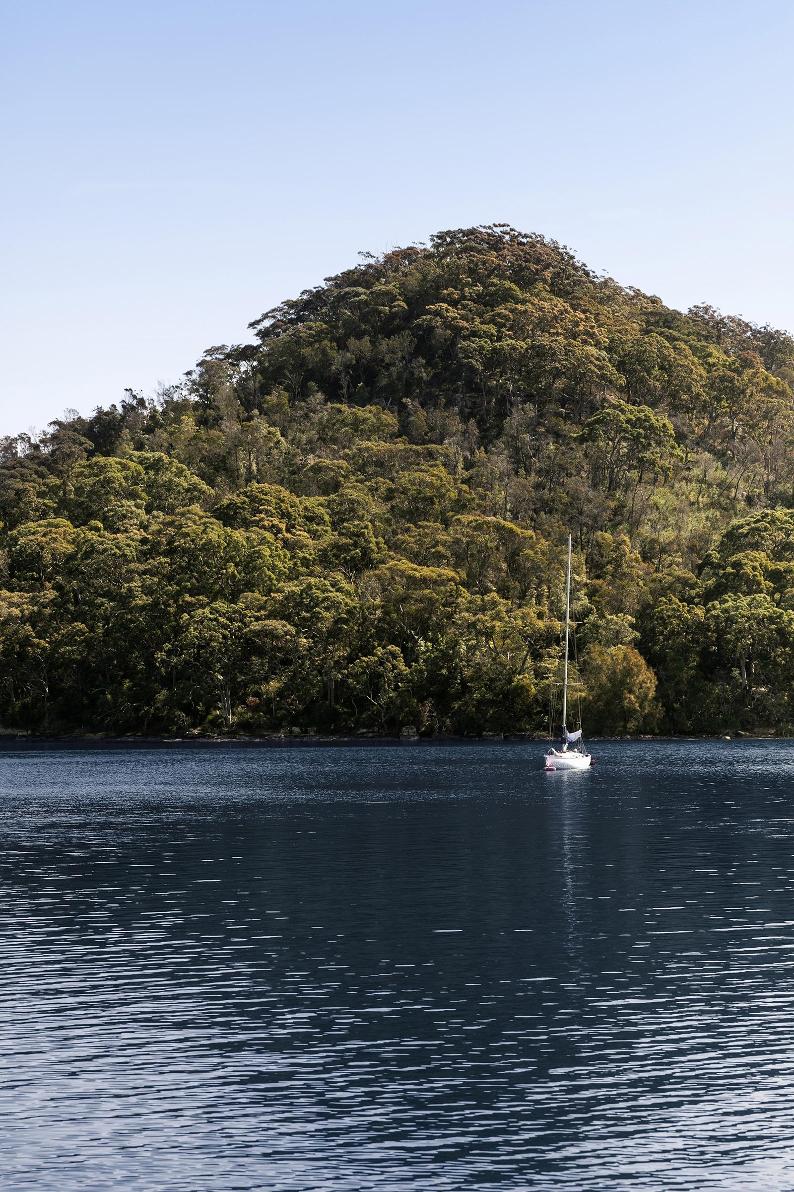 A bush-backed anchorage on still water