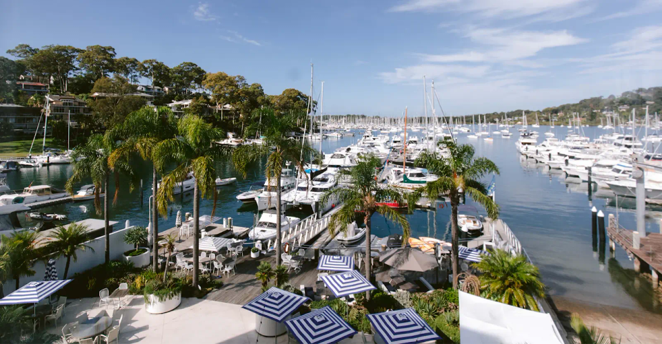 Marina lined with moored yachts and palm trees beside a waterfront terrace, Sydney